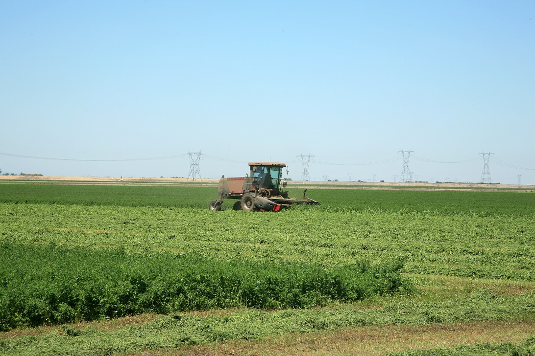 a large machine in a field