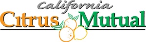ccm logo
